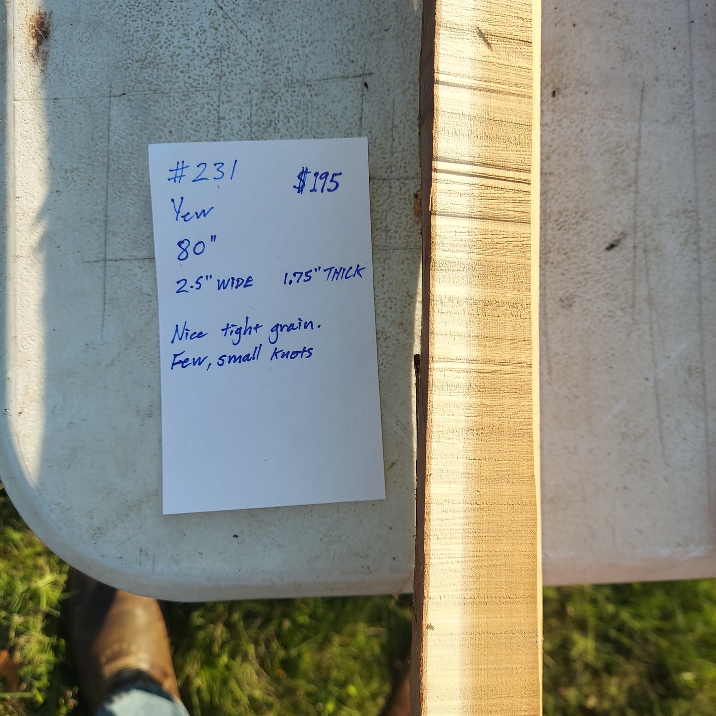 Yew Stave #231