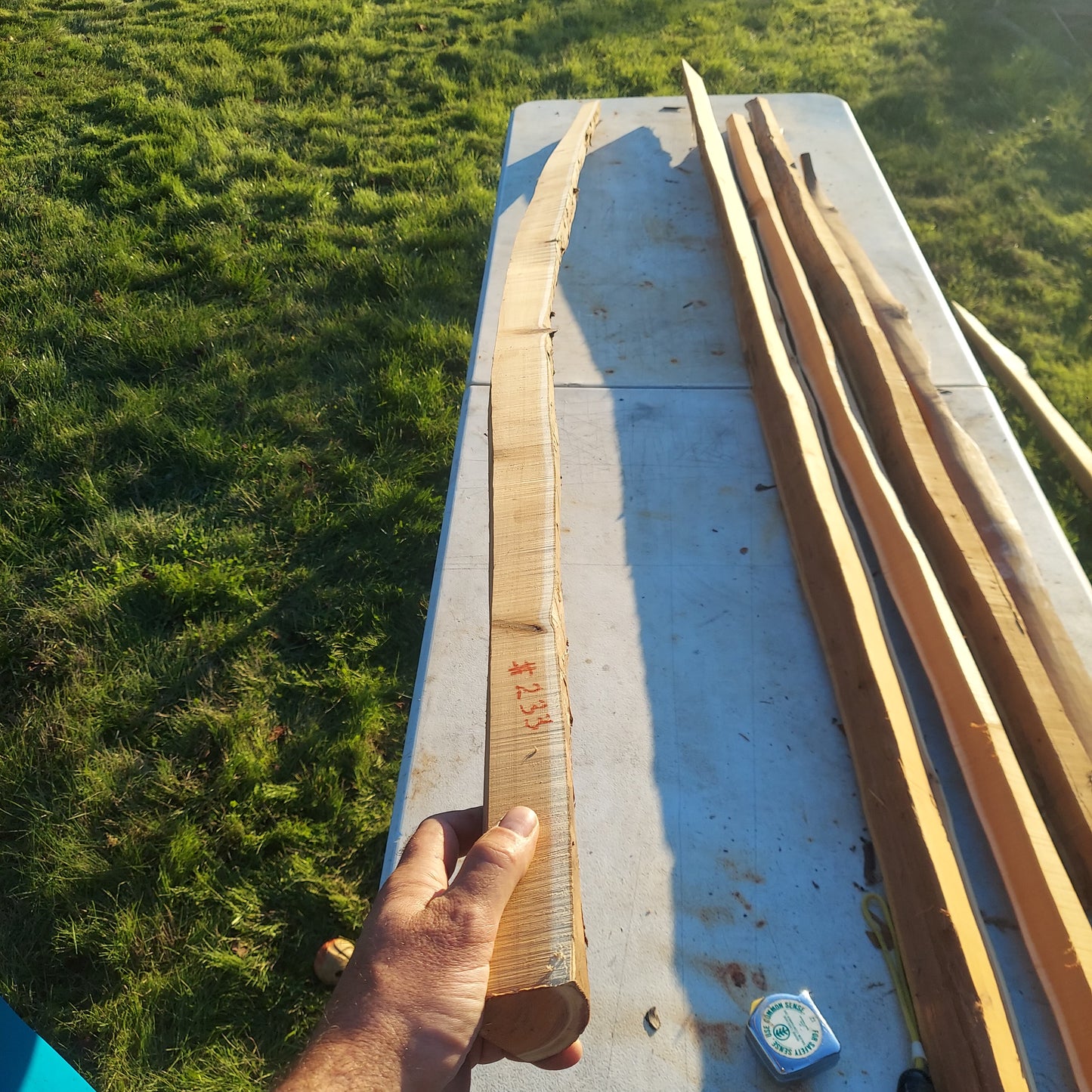 Yew Stave #233