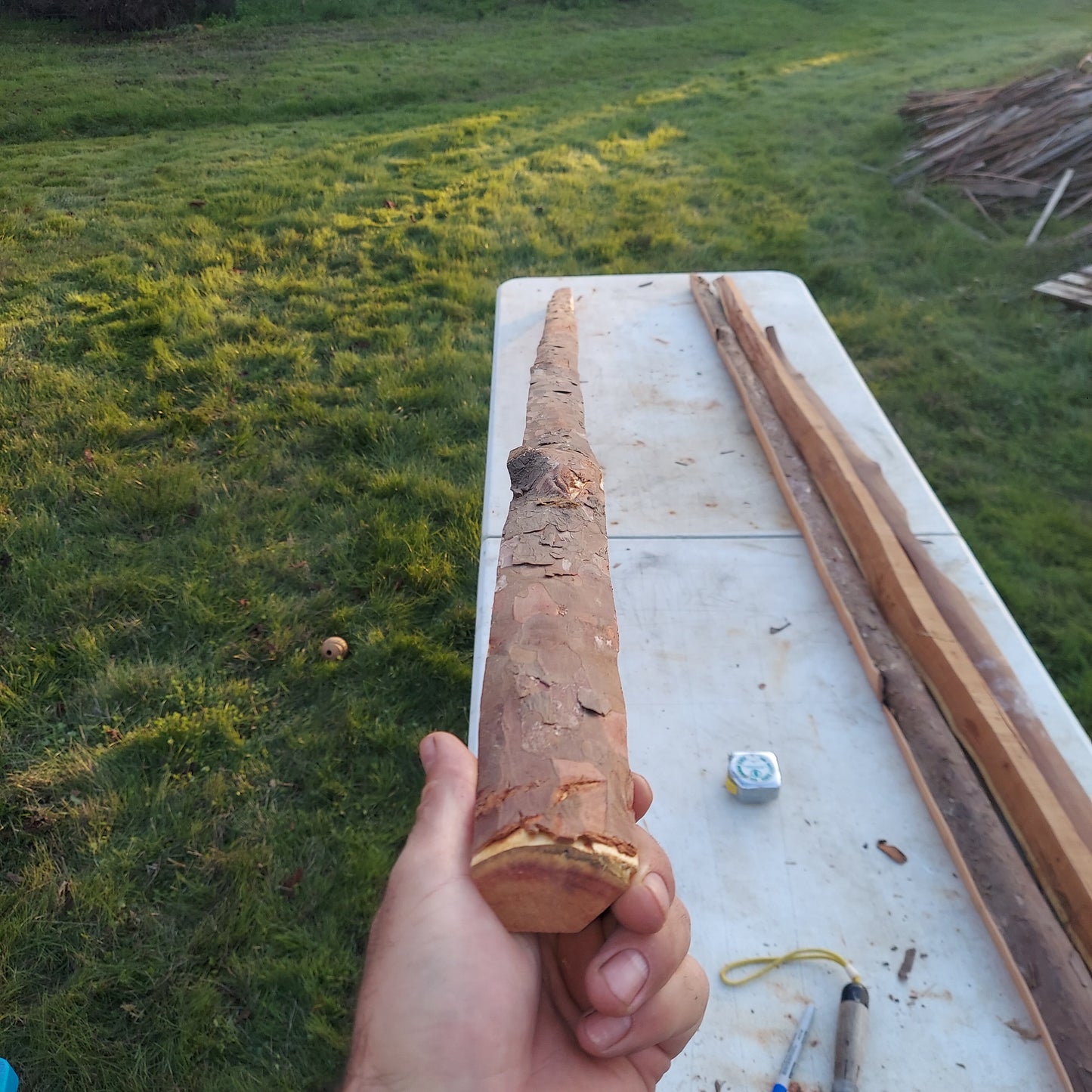 Yew Stave #235