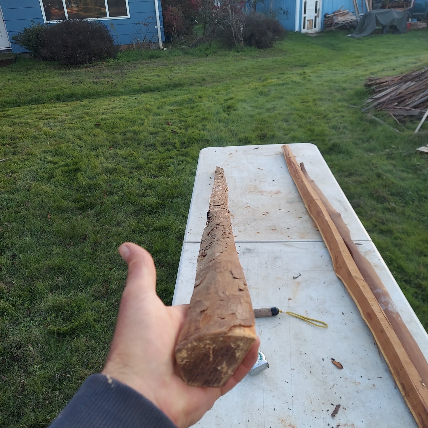 Yew Stave #236