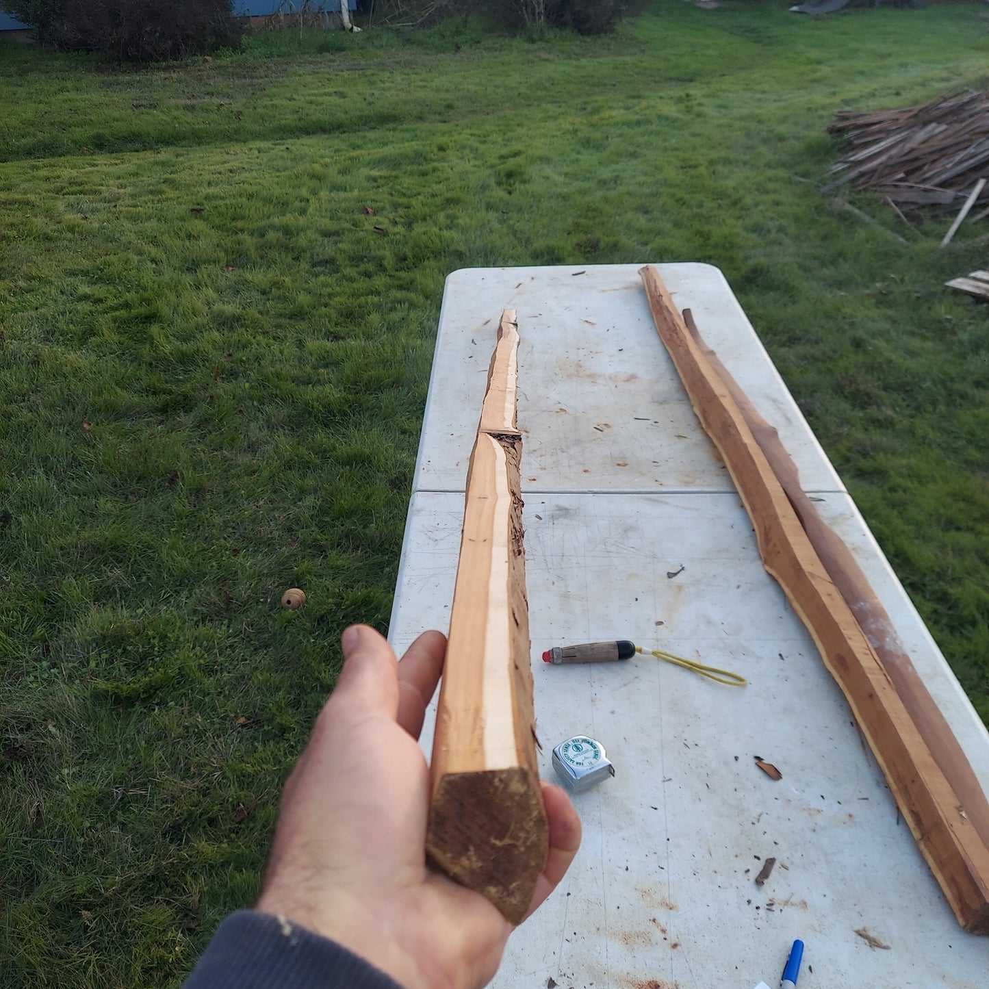 Yew Stave #236