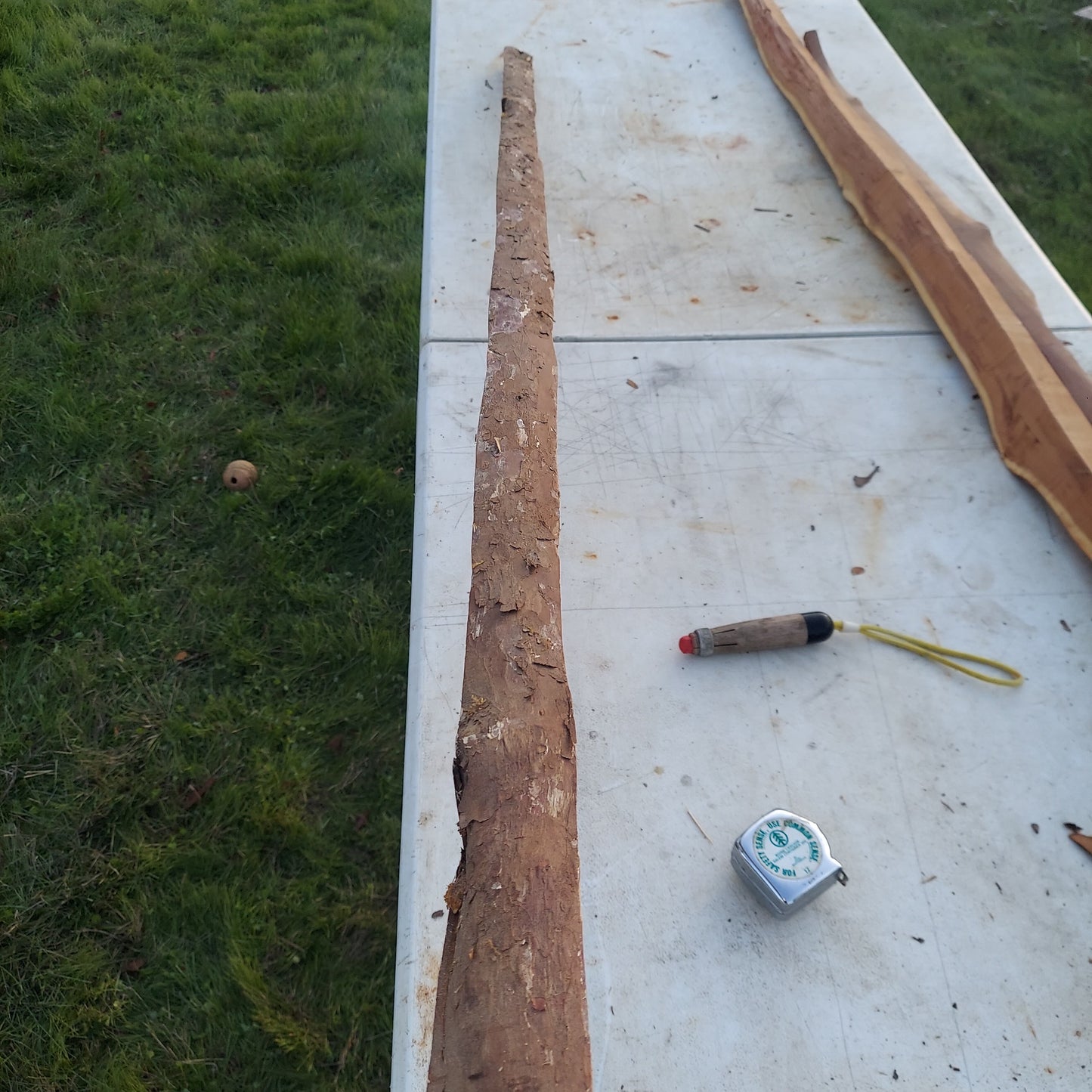 Yew Stave #236