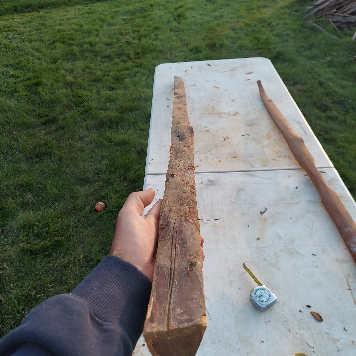 Yew Stave #237
