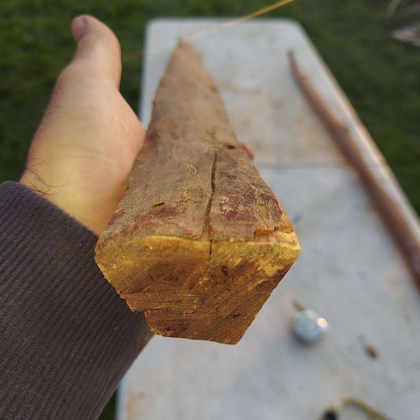 Yew Stave #237