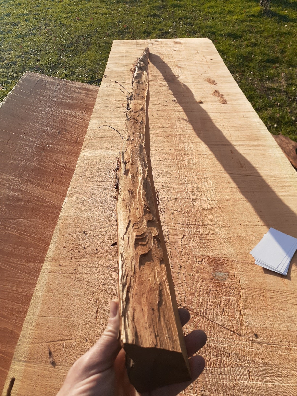 Yew Stave #240