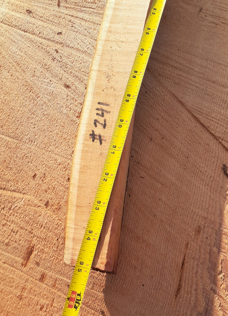 Yew Stave #241
