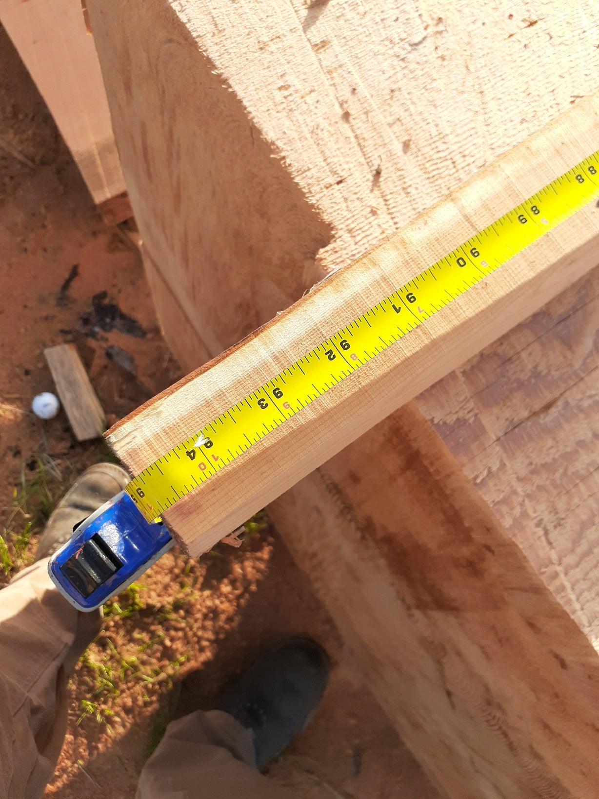 Yew Stave #242