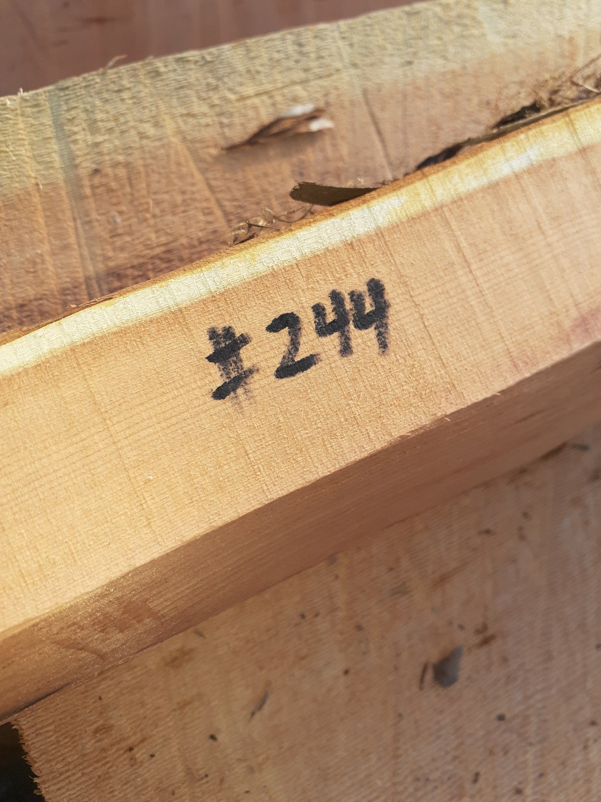 Yew Stave #244