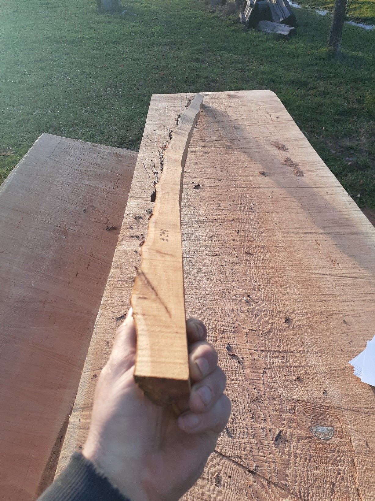 Yew Stave #248