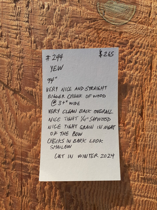 Yew Stave #244